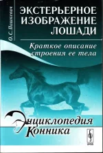 Пашкевич - Экстерьерное изображение лошади. Краткое описание строения тела лошади.webp