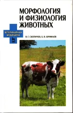 Скопичев, Шумилов - Морфология и физиология животных.webp