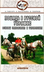 Ганулич, Ползунова, Сборцов-Лошадь в русской упряжке. Основы запрягания и управления.webp