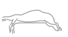 5346.webp