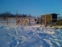 SYaTHTyV5I0.webp