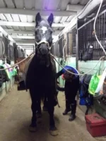 DSCF0761.webp