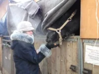 DSCF0773.webp