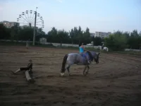 P1050563.webp