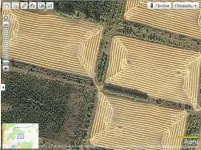 Поля в Курганской области.webp