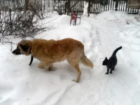 SAM_3888.webp