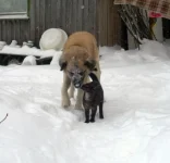 SAM_3892.webp
