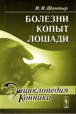 Шантыр-Болезни копыт лошади.webp