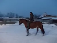 пастила нх.webp