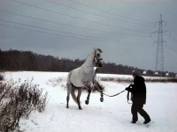 DSCN1442.webp