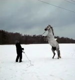 DSCN1451.webp