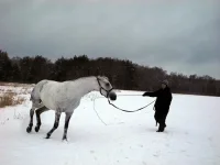 DSCN1452.webp