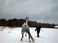 DSCN1453.webp
