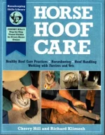 Horse hoof care.webp