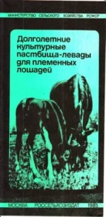Долголетние культурные пастбища-левады для племенных лошадей.webp