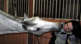 DSCN1433.webp