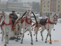 DSCN2406.webp