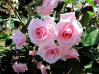 IMG_0694.webp