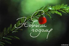 286416069.webp