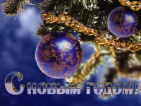 new-year-24.webp