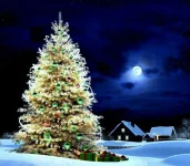PDO3dKVv7Oc.webp