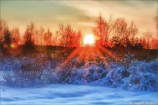 2012-01-29-03.webp