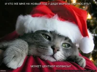 727178.webp