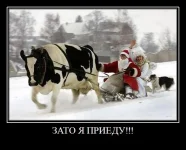 81576817_novogodnie_prikoluy_1jpgnew.webp