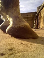 22122012151.webp
