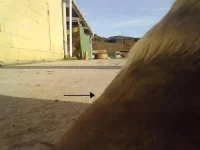 22122012154.webp