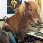 000287001vh.webp