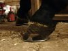 IMG-20190221-WA0014.jpg