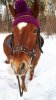 SAVE_20190302_191208.jpeg