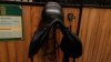 20190319_222448.jpg