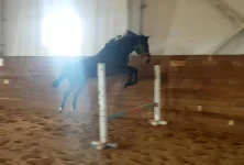 Screenshot_20190324-233218_Video-Player.webp