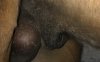 32FAAD28-C9BD-4705-97F0-583B683F9376.jpeg