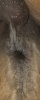 39D20D41-4688-45ED-A4F4-D3963FA36A61.jpeg