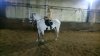 IMG-20190329-WA0011.jpg