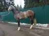 IMG-20190409-WA0007.jpg
