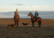 Верхом.webp