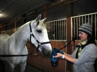 DSCN1437.webp