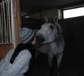 DSCN1431.webp