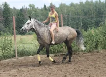 z_22yuhDzcA.webp