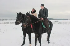 прокат1.webp