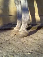 03012013178.webp