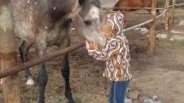 013lQhqR1VA.webp