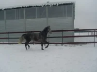 gtffoz_iLsw.webp