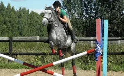 y_07018037.webp