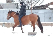 пастила и вера.webp