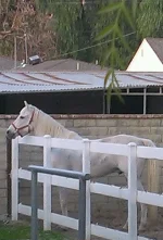 IMAG0826-1.webp